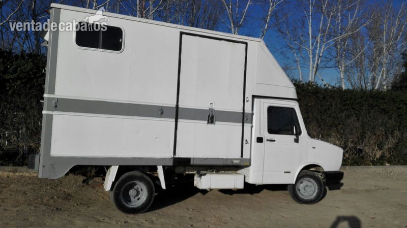 Camion 3500kg para 2 Caballos  