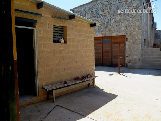 HÍPICA EN VENTA CERCA DE LLEIDA in LÉRIDA