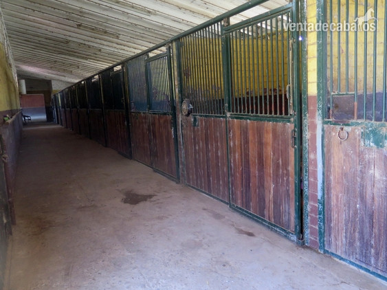 HÍPICA EN VENTA CERCA DE LLEIDA