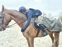 Quiero compartir el pupilaje de mi caballo, en hípica del Pardo, en Madrid