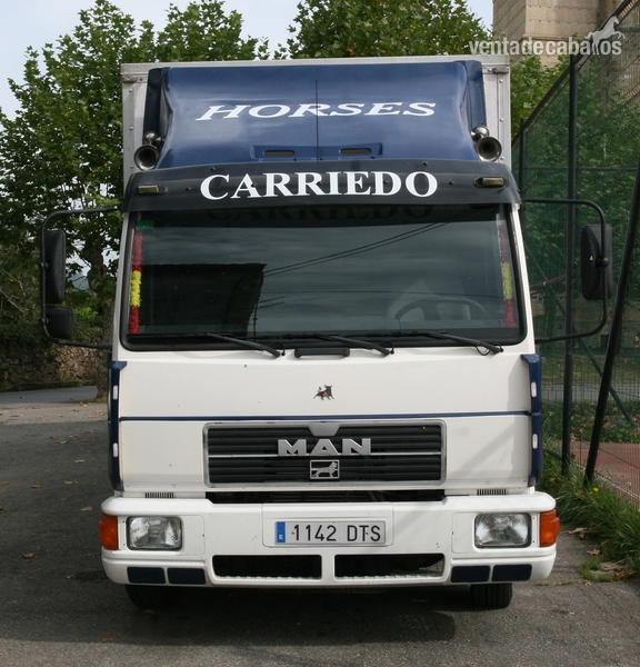 VENTA DE CAMION PARA 8 CABALLOS in 