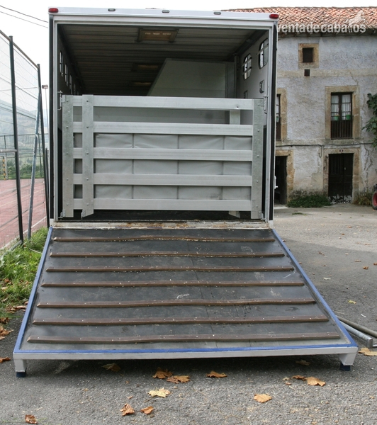 VENTA DE CAMION PARA 8 CABALLOS