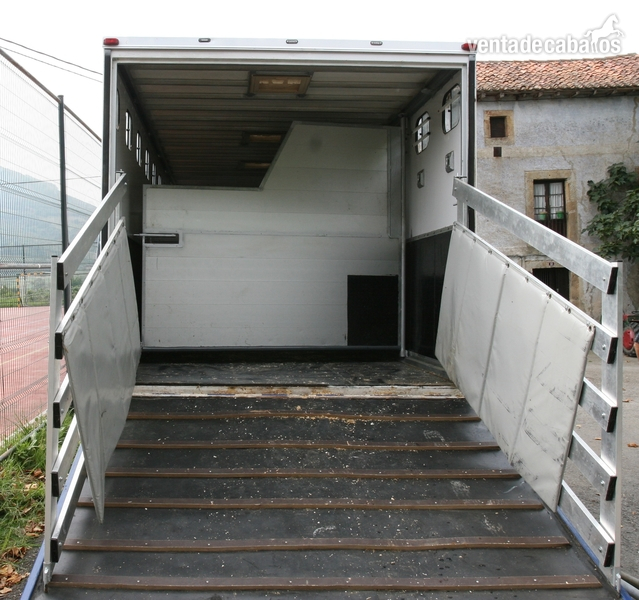  VENTA DE CAMION PARA 8 CABALLOS