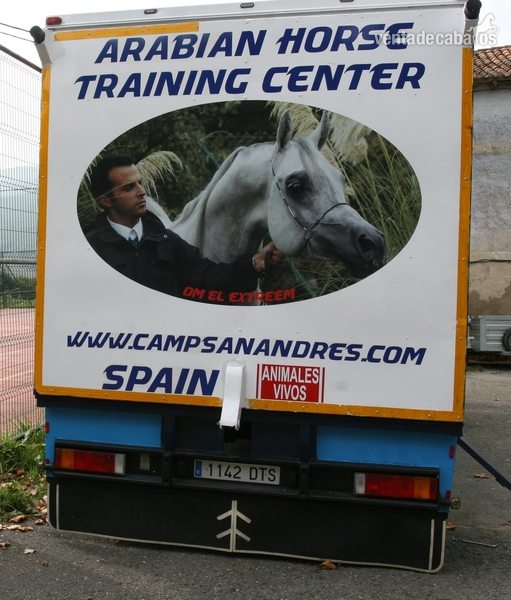 VENTA DE CAMION PARA 8 CABALLOS - Transportes de caballos in 
