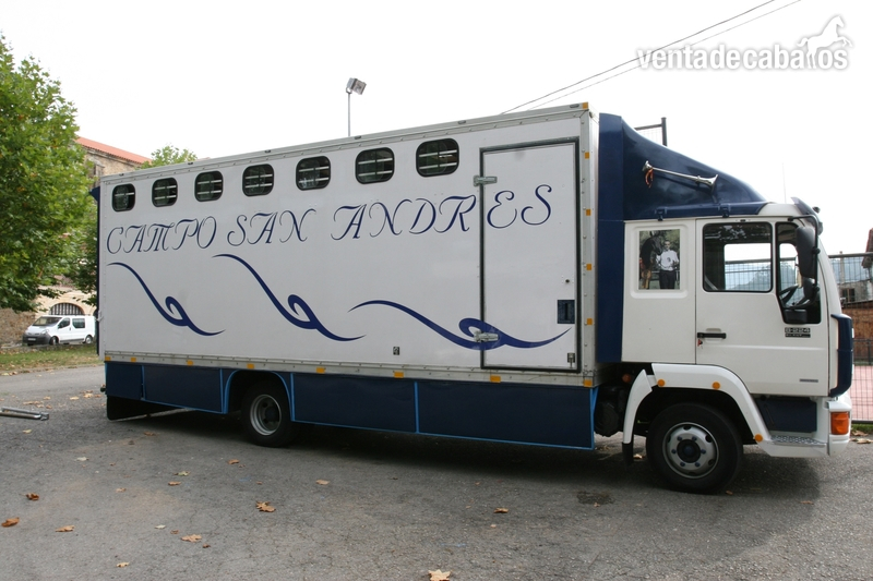 VENTA DE CAMION PARA 8 CABALLOS - Transportes de caballos