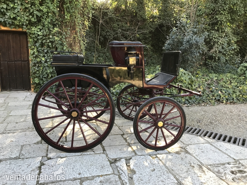 Phaeton  in 