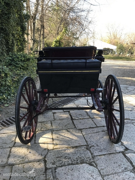  Phaeton 