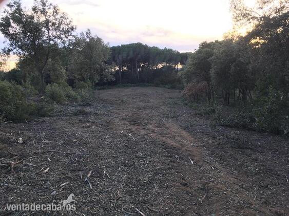 Granollers FINCA EN VENTA PARA NUEVA HÍPICA GRANOLLERS