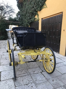 Araña Phaeton