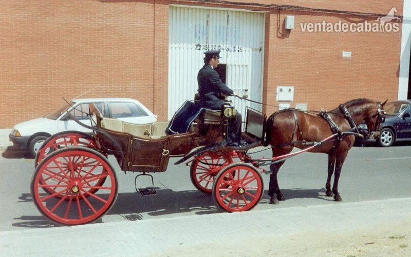 VENDO MANOLA DE MADERA in 