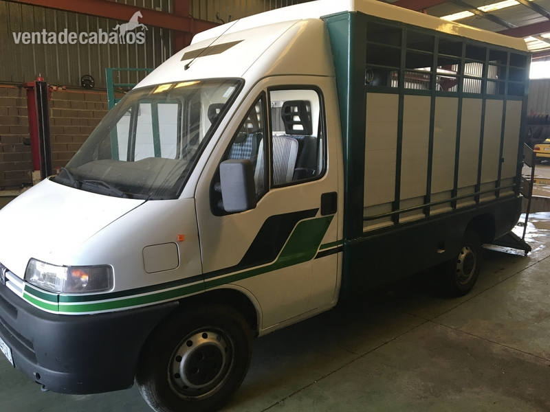 Venta camión transporte caballos in 