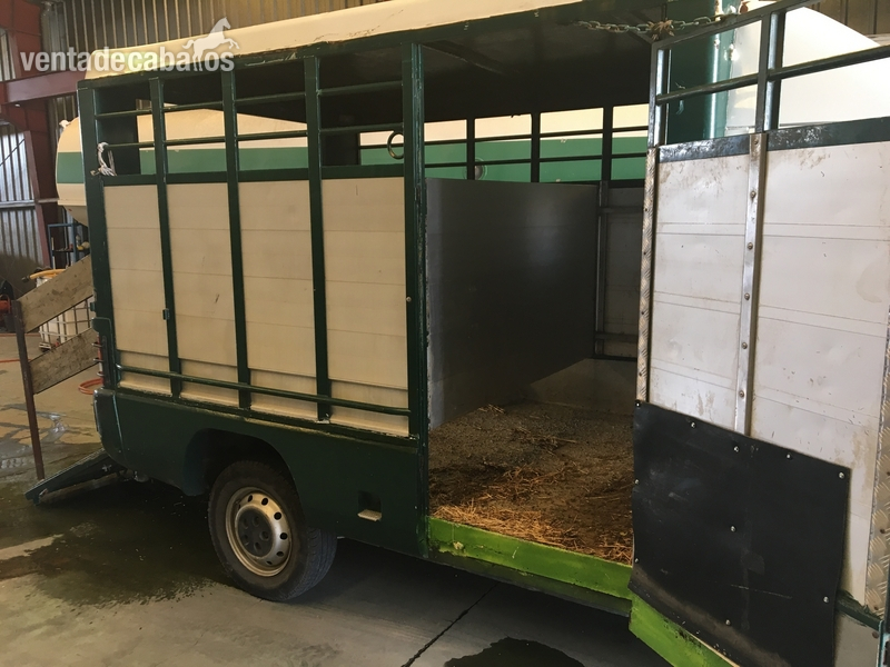 Venta camión transporte caballos