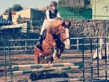 Caballo SF salto