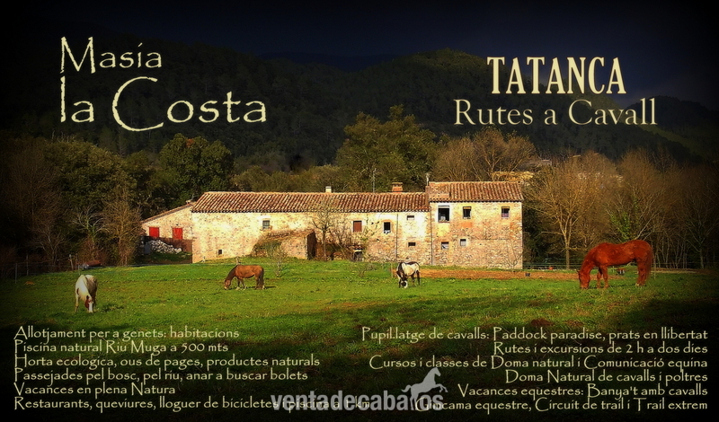 Masia en alquiler, prados para caballos in Albanyà
