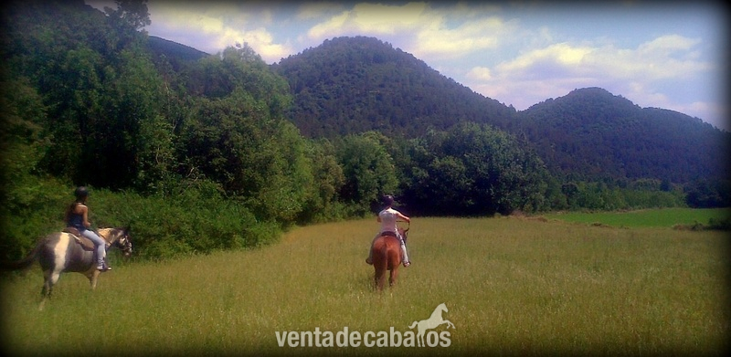 Masia en alquiler, prados para caballos - Finca ecuestre
