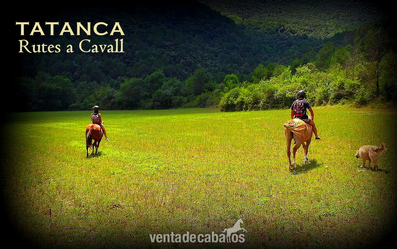 Masia en alquiler, prados para caballos Albanyà