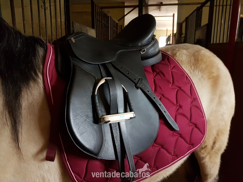 Silla uso general 18", El Valenciano 