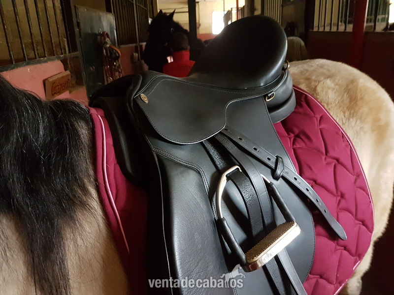 Silla uso general 18", El Valenciano  - Sillas de montar in 