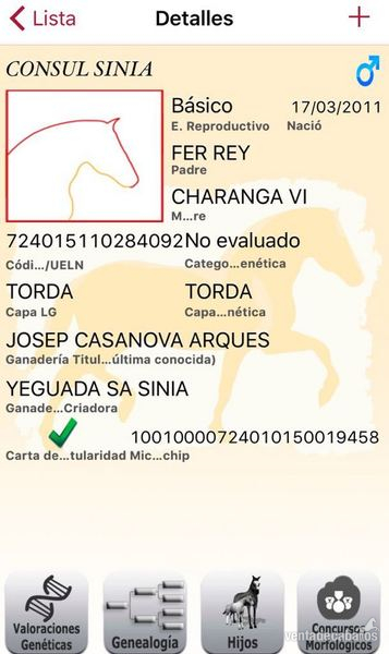 EN VENTA / FOR SALE