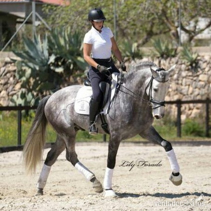EN VENTA / FOR SALE in 