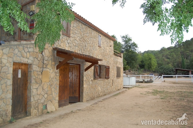 FINCA ECUESTRE CON MASÍA EN VENTA EN FOGARS DE LA SELVA in Fogars de la Selva