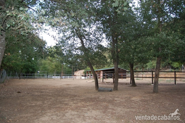 FINCA ECUESTRE CON MASÍA EN VENTA EN FOGARS DE LA SELVA