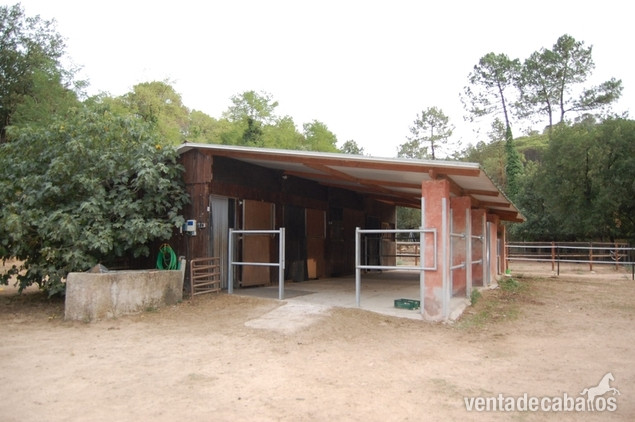 Fogars de la Selva FINCA ECUESTRE CON MASÍA EN VENTA EN FOGARS DE LA SELVA