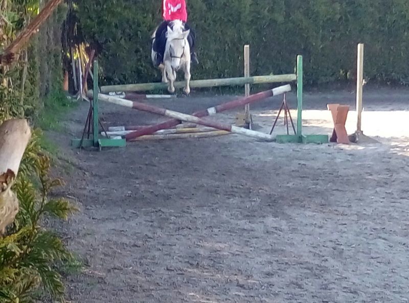 Cruzada gallega {TYPE}