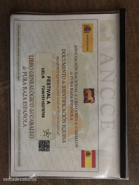 Pura Raza Española {TYPE}