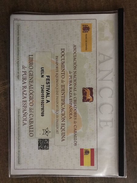 Pura Raza Española {TYPE}