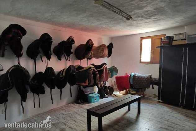 FANTASTICA MASIA MAS HÍPICA EN VENTA EN MONTSERRAT - Hípicas y establos en venta