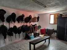 FANTASTICA MASIA MAS HÍPICA EN VENTA EN MONTSERRAT