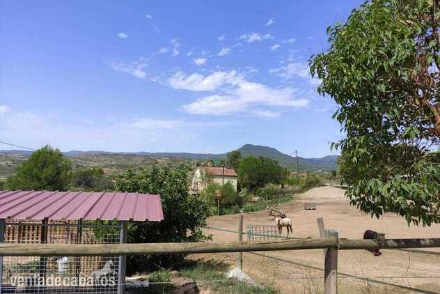 Igualada FANTASTICA MASIA MAS HÍPICA EN VENTA EN MONTSERRAT