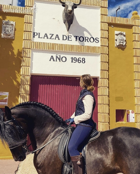 Caballo PRE Doma 1,69 in 