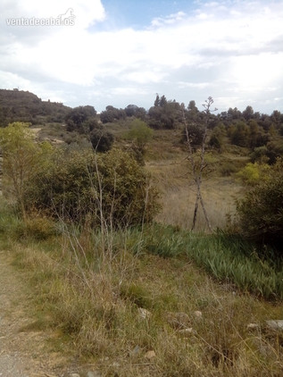 FINCA DE 144 HECTÁREAS CERCA DE MANRESA in Monistrol de Montserrat