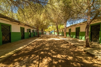 Finca en venta en Navas del Rey