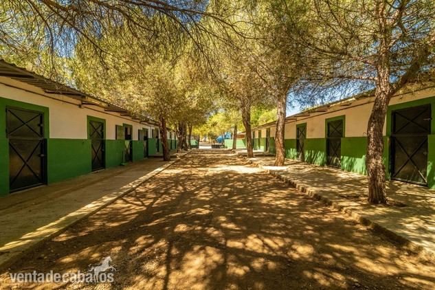 Finca en venta en Navas del Rey in Navas del Rey