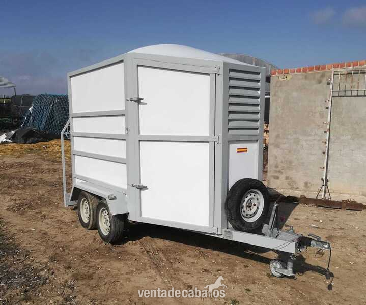 TRICAR VANG 2 CABALLOS in 