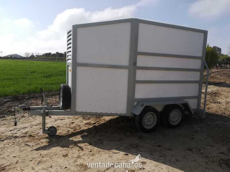 TRICAR VANG 2 CABALLOS