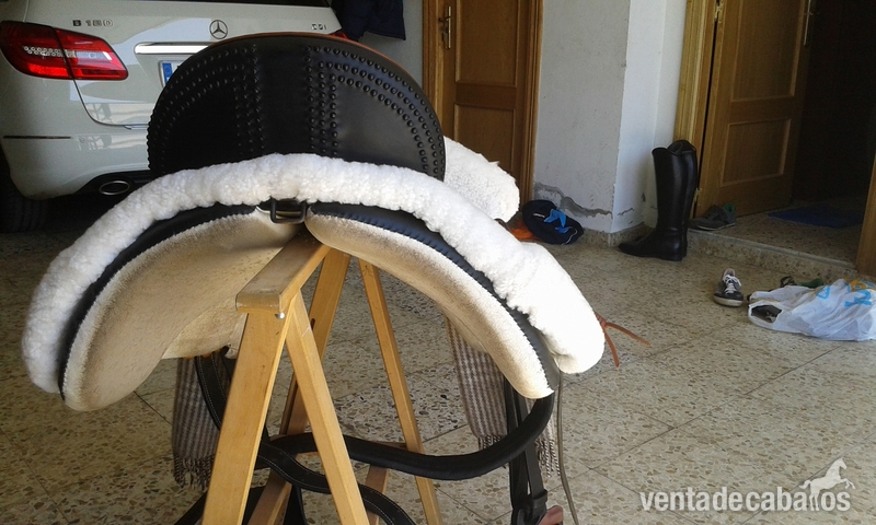 silla de fibra completa 