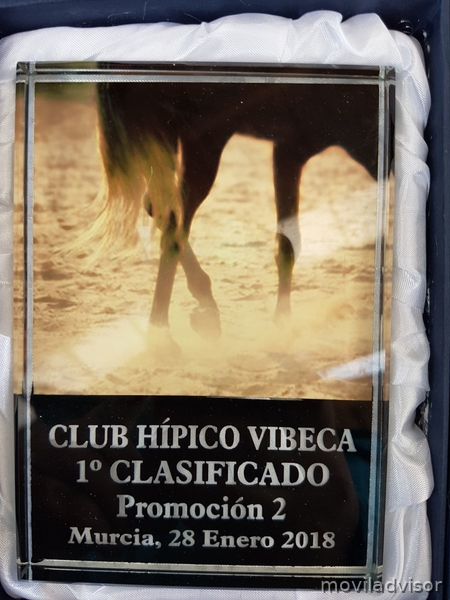 Espectacular caballo PRE negro a la venta - Pura Raza Española