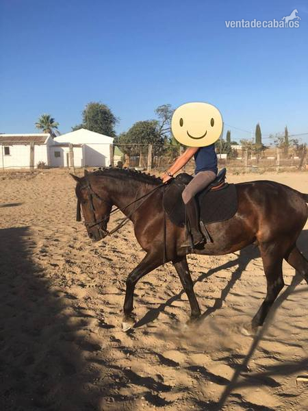 Hispano-Arabe {TYPE}