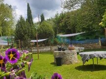 🐎 Traspaso de Finca Ecuestre con Vivienda e Instalaciones Hípicas – Guadalajara