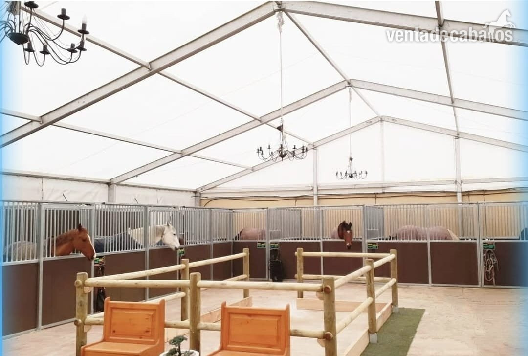 🐎 Traspaso de Finca Ecuestre con Vivienda e Instalaciones Hípicas – Guadalajara in torija