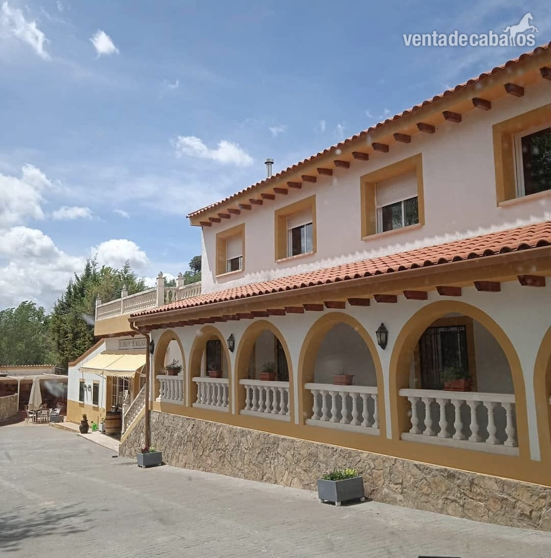 torija 🐎 Traspaso de Finca Ecuestre con Vivienda e Instalaciones Hípicas – Guadalajara