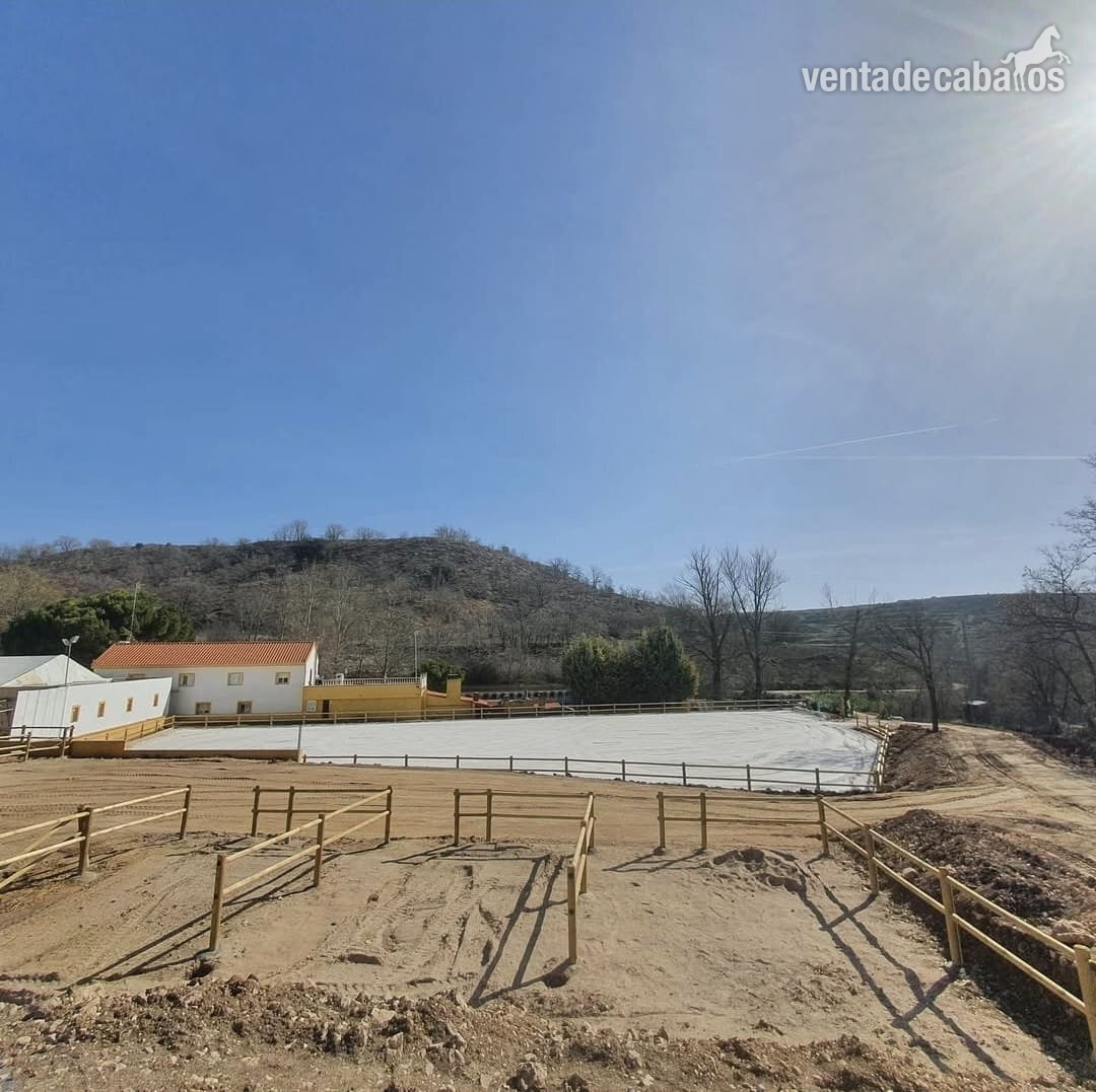 🐎 Traspaso de Finca Ecuestre con Vivienda e Instalaciones Hípicas – Guadalajara