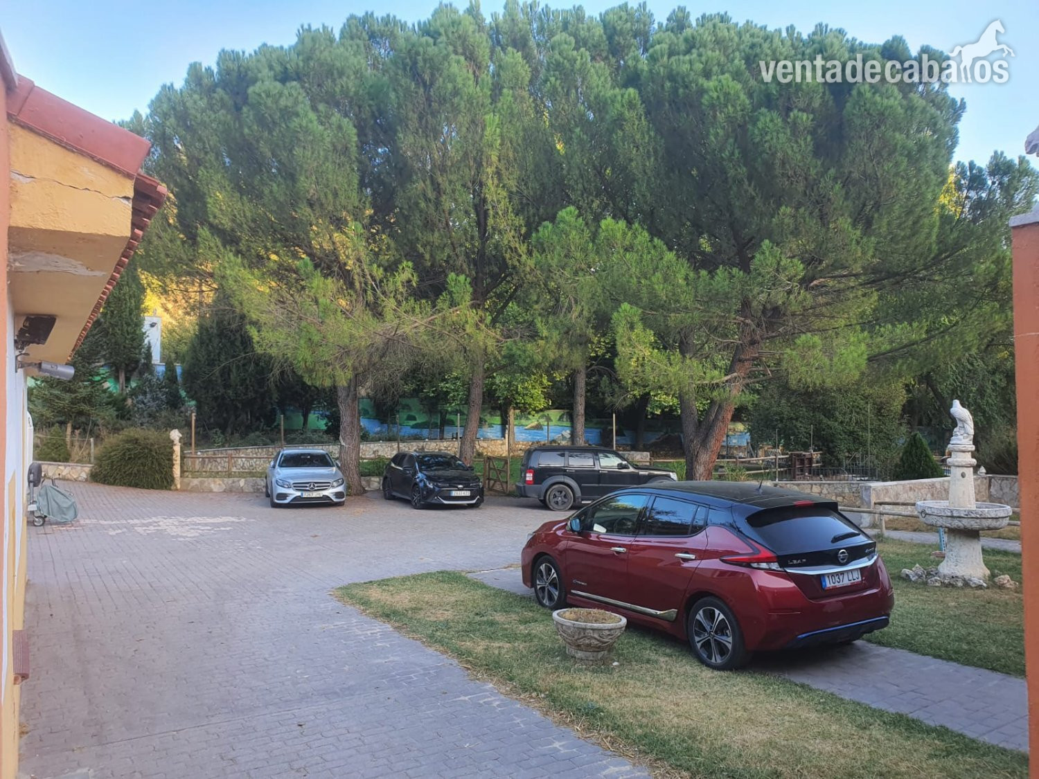 Finca ecuestre - 🐎 Traspaso de Finca Ecuestre con Vivienda e Instalaciones Hípicas – Guadalajara