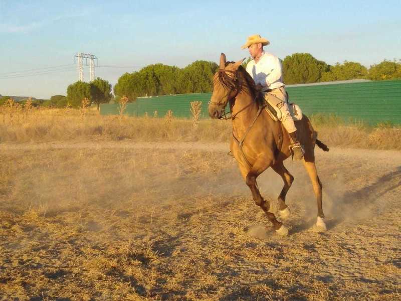Hispanolusitano al 60& 