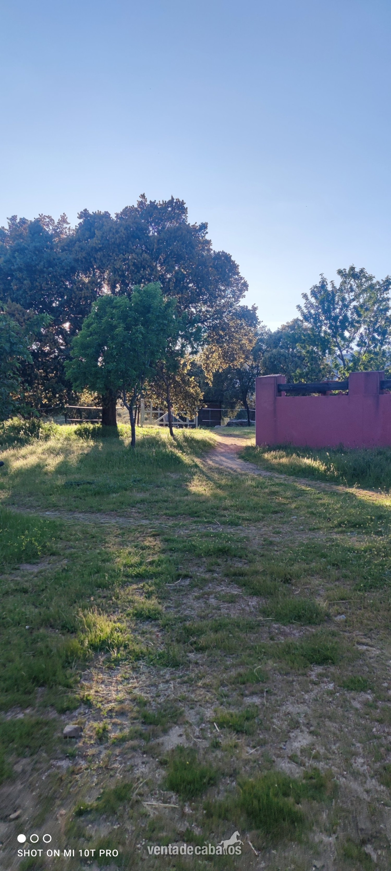 Finca ecuestre - Madrid , Finca con casa e instalaciones ecuestres 