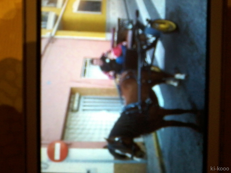 pony welsh {TYPE}